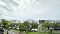Pinewood Terrace (D25), Terrace #517565601